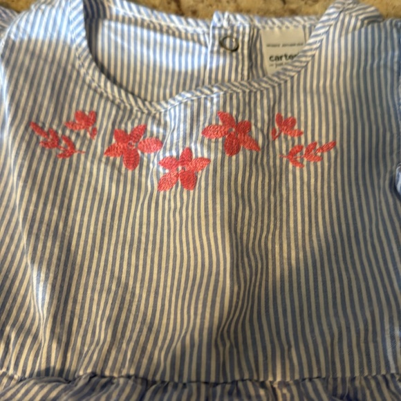 Carter's Blue and White Striped Romper with Red Floral Embroidery - Picture 7 of 9